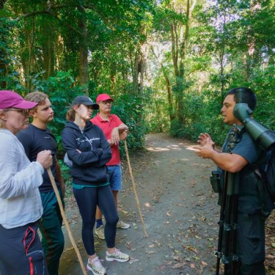 Natural History instruccions